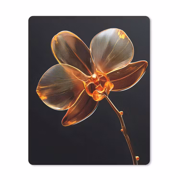 Muismat - Orchidee - Doorzichtig - Bloem — 1