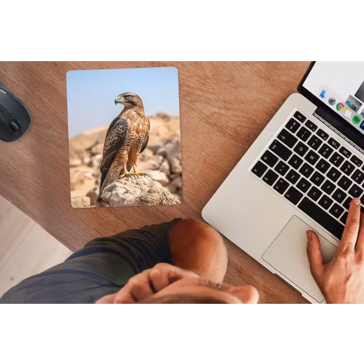 Muismat - Valk - Vogel - Rots - Macht — 2