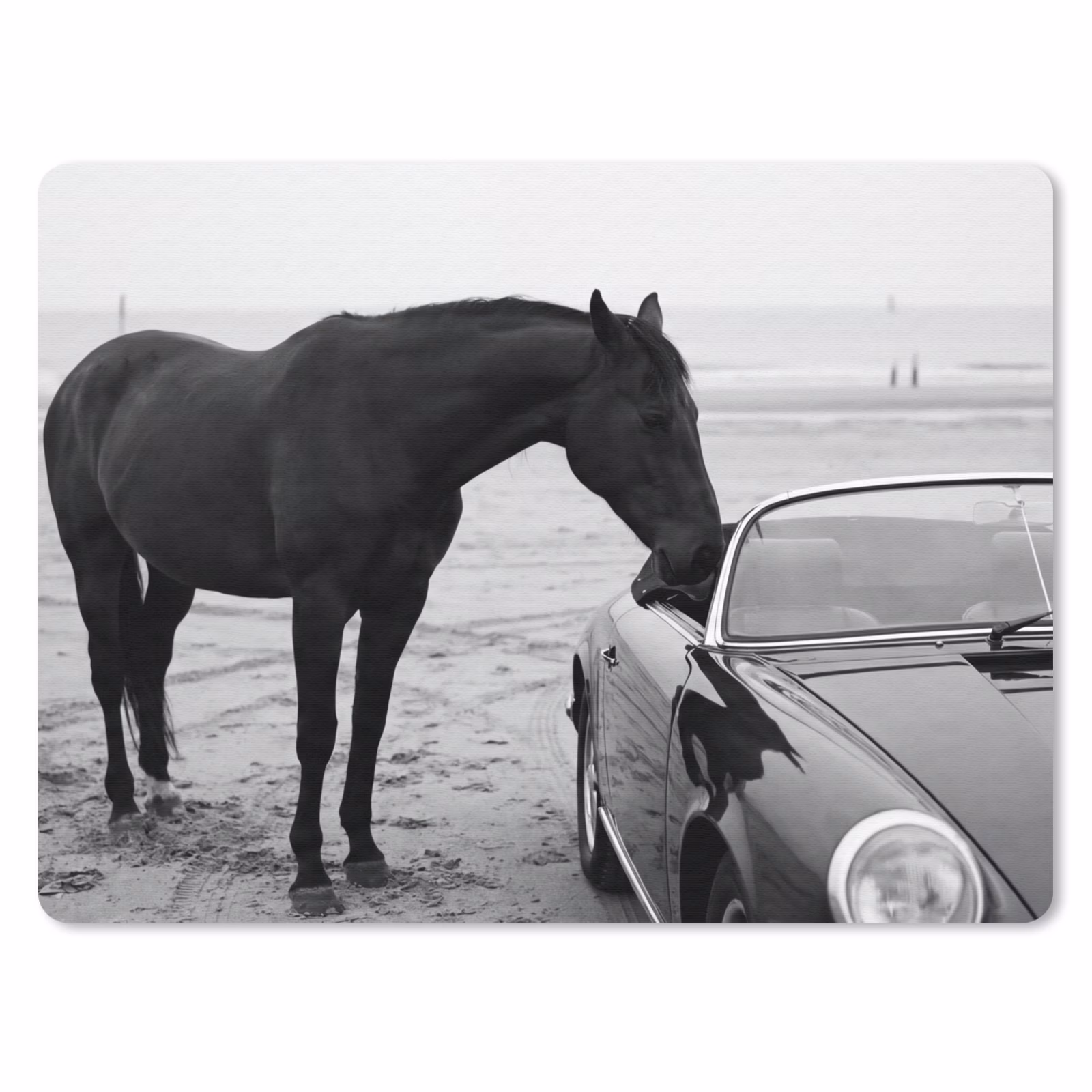 Muismat - Paard - Auto - Zwart - Wit — 1