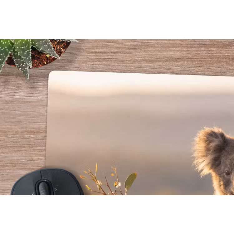 Muismat - Koala - Bladeren - Ochtendlicht — 4