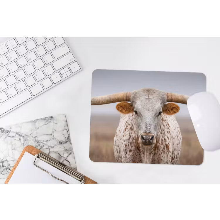 Muismat - Longhorn - Grasveld - Dier — 2
