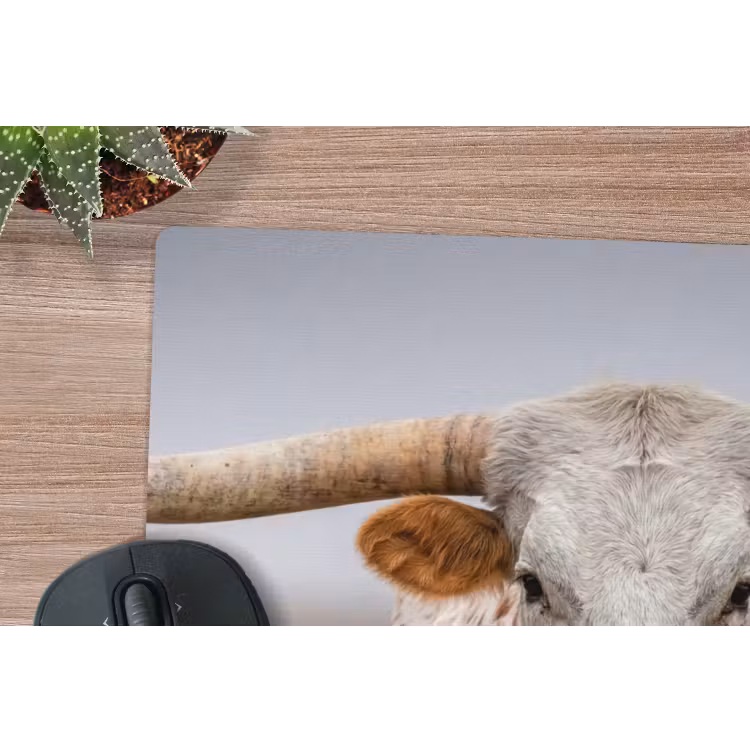 Muismat - Longhorn - Grasveld - Dier — 4