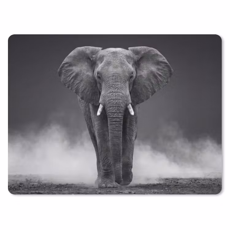Muismat - Olifant - Zwart - Wit - Rook — 1