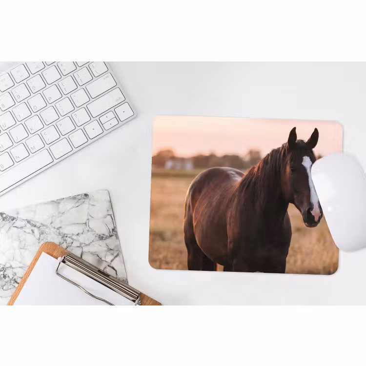 Muismat - Paard - Zonsondergang - Bruin — 2