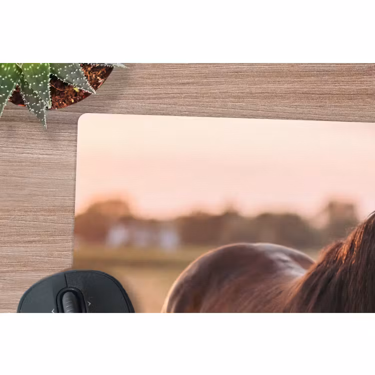 Muismat - Paard - Zonsondergang - Bruin — 4