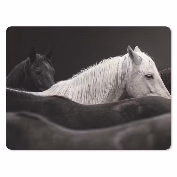 Muismat - Paarden - Zwart - Wit - Kudde — 1