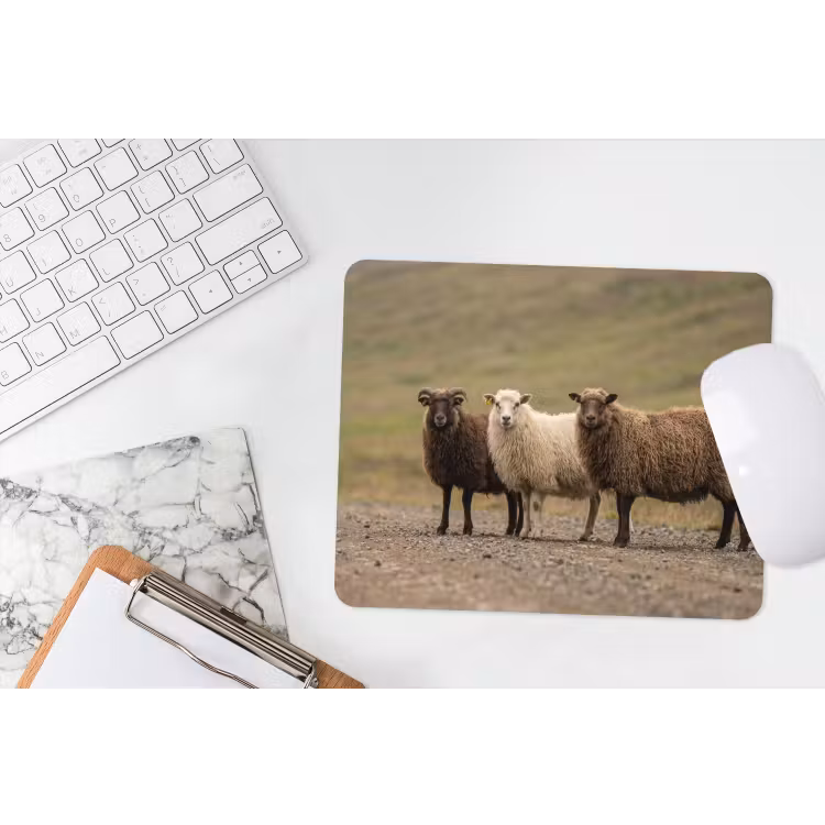 Muismat - Schapen - Bruin - Wit - Grindpad — 2