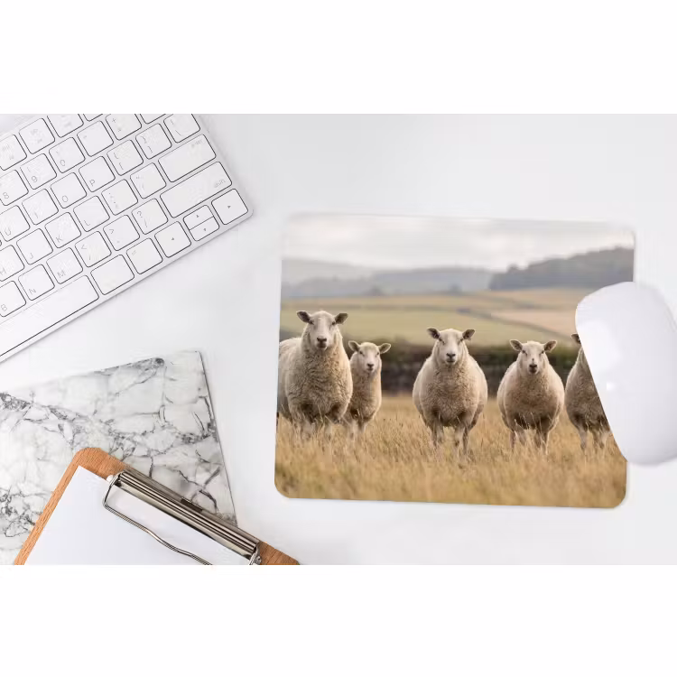 Muismat - Schapen - Weidenlandschap - Heuvels — 2