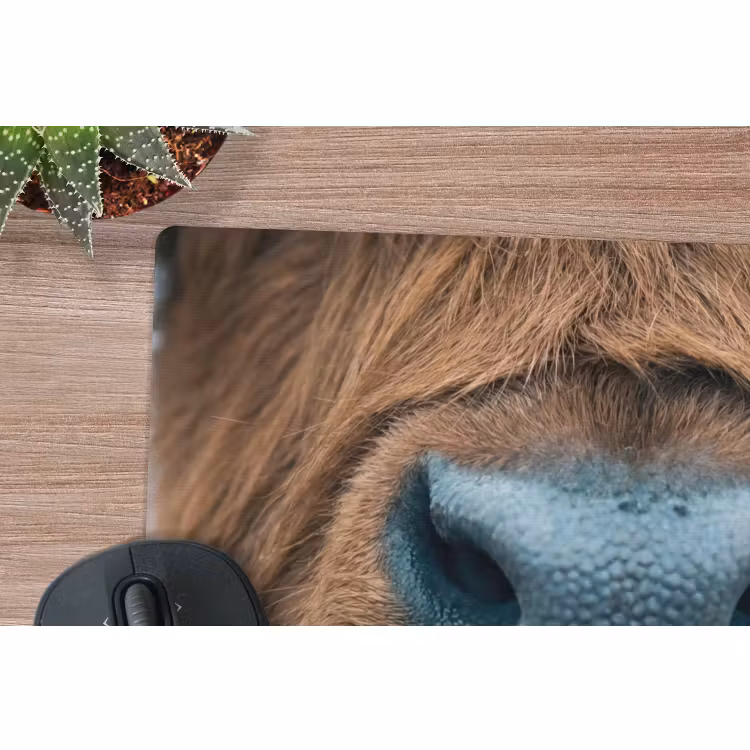 Muismat - Schotse hooglander - Neus - Bruin — 4