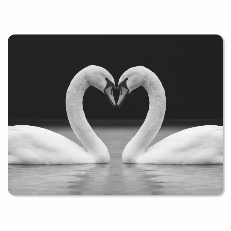 Muismat - Zwanen - Hart - Zwart - Wit — 1