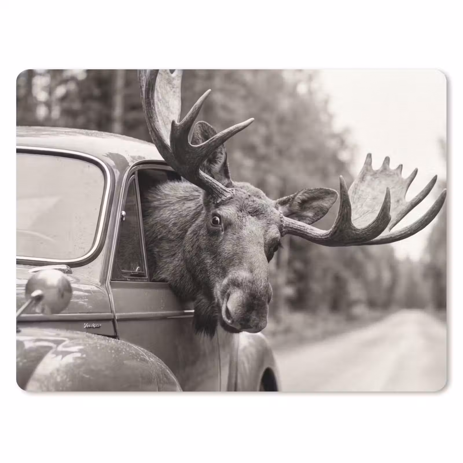 Muismat - Eland - Auto - Gewei - Zwart - Wit — 1