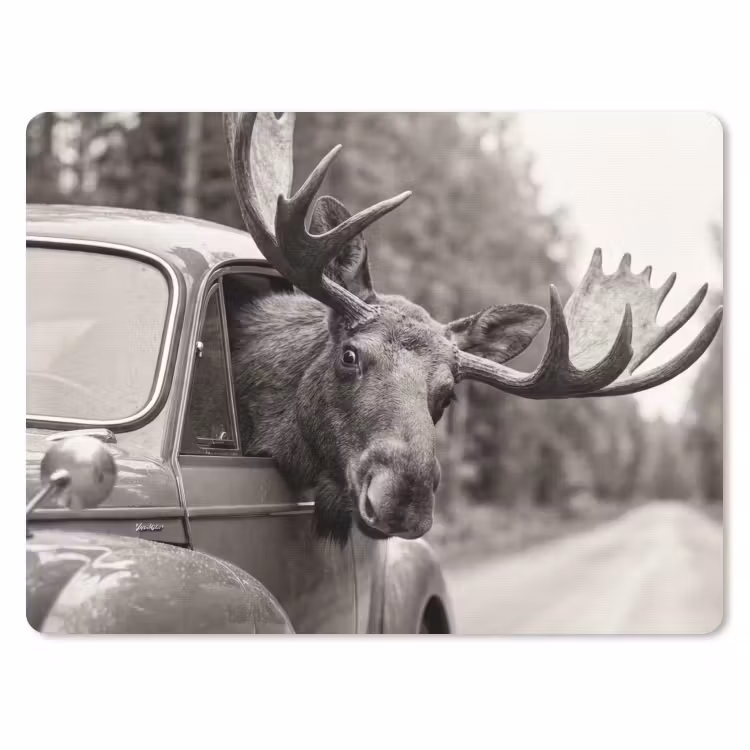 Muismat - Eland - Auto - Gewei - Zwart - Wit — 1