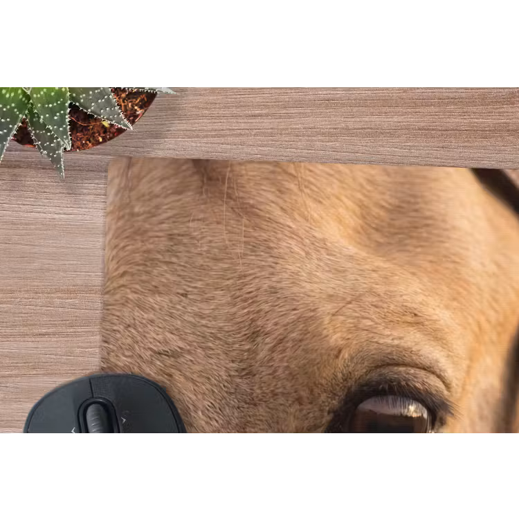 Muismat - Paard - Oog - Bruin — 4