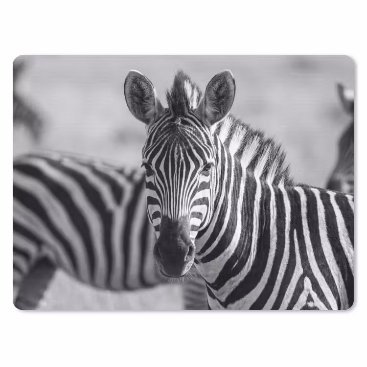 Muismat - Zebra's - Zwart - Wit — 1