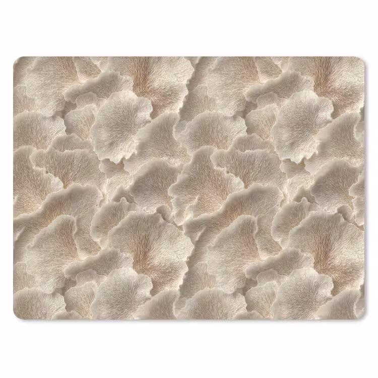 Muismat - Waaierstructuren - Beige - Vezeltextuur — 1