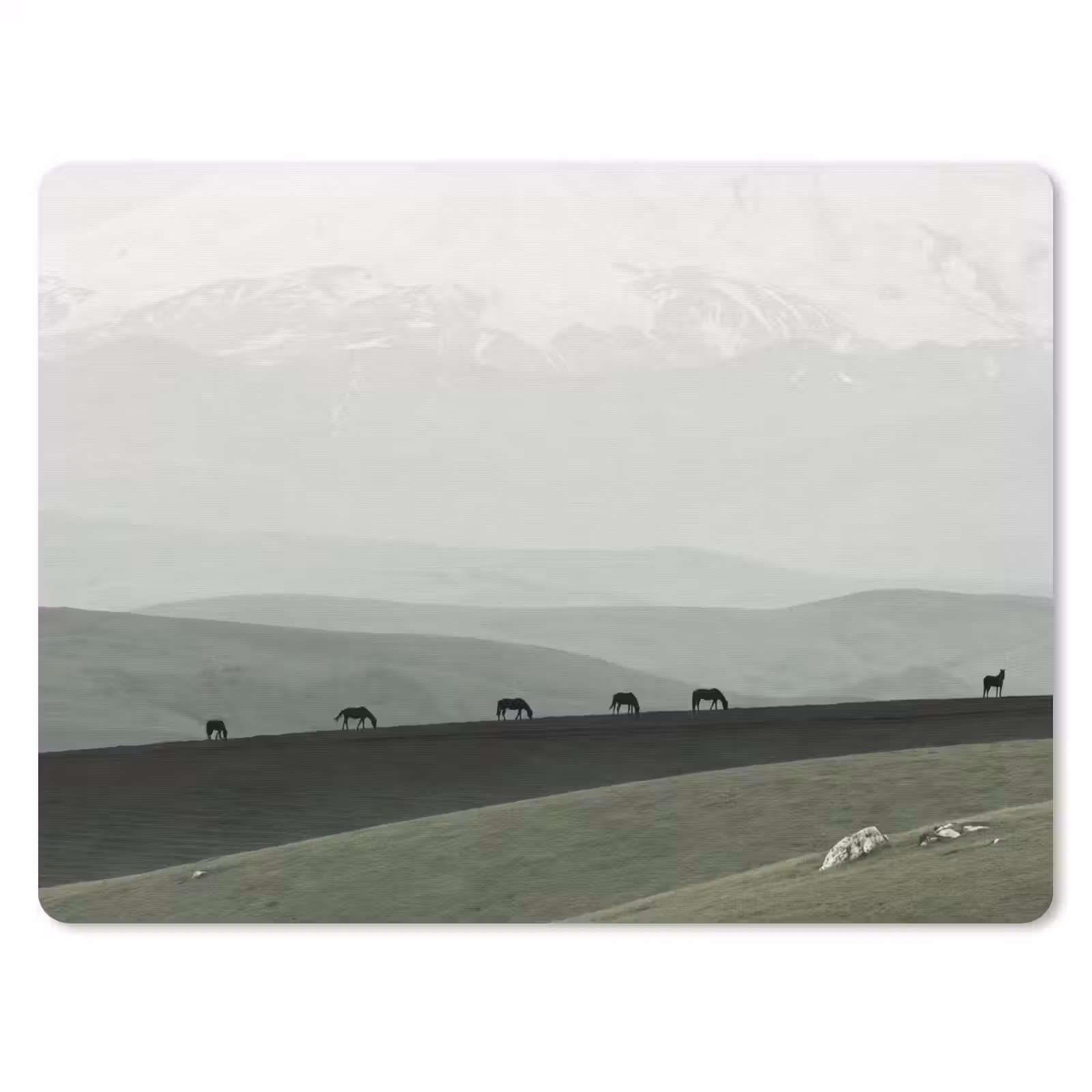 Muismat - Grijs - Berg - Paarden — 1