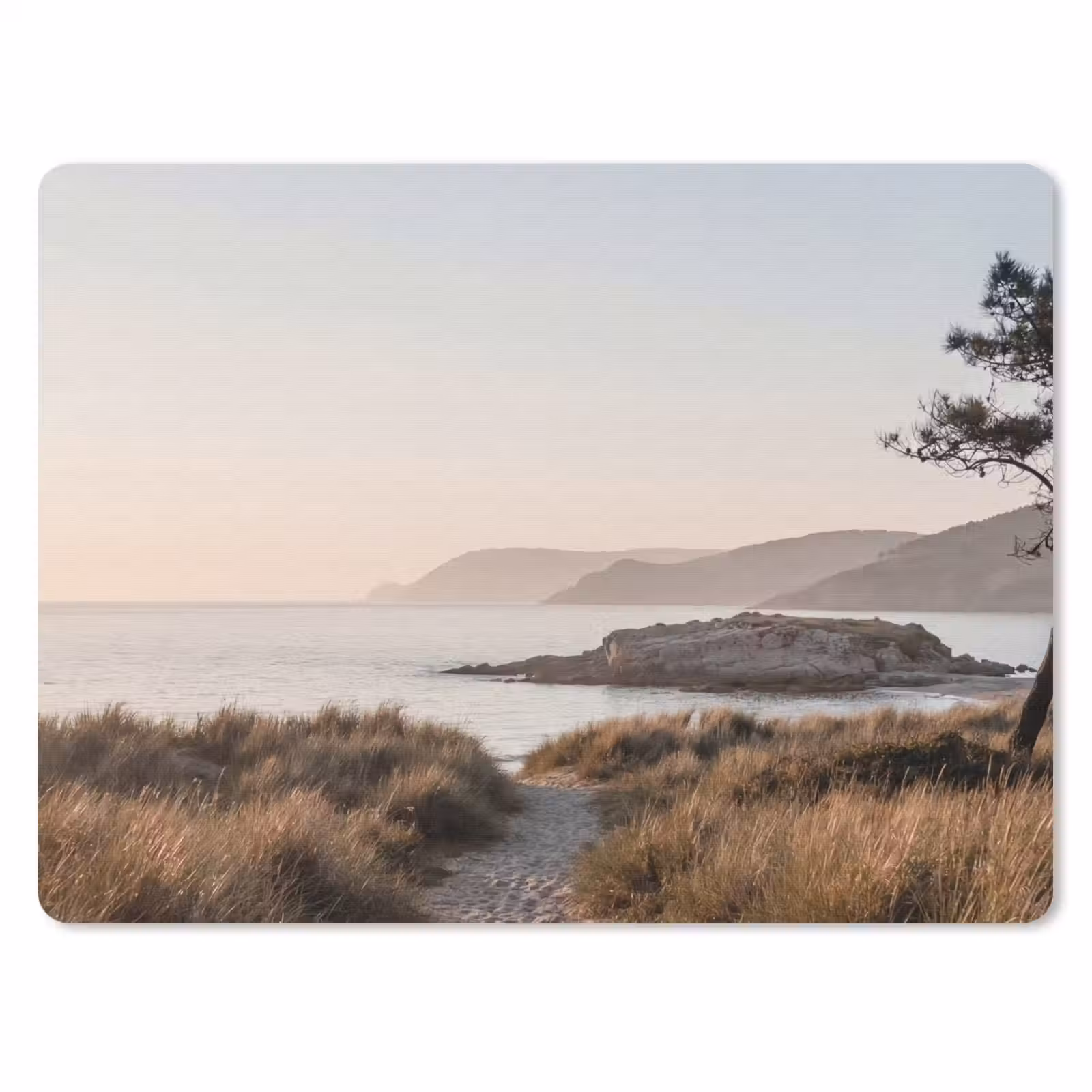 Muismat - Landschap - Kust - Duinen — 1