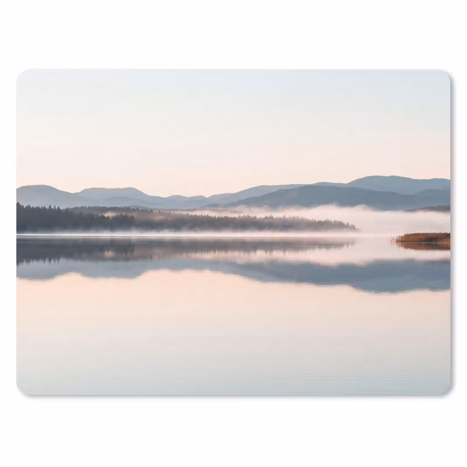 Muismat - Water - Bomen - Mistlaag — 1