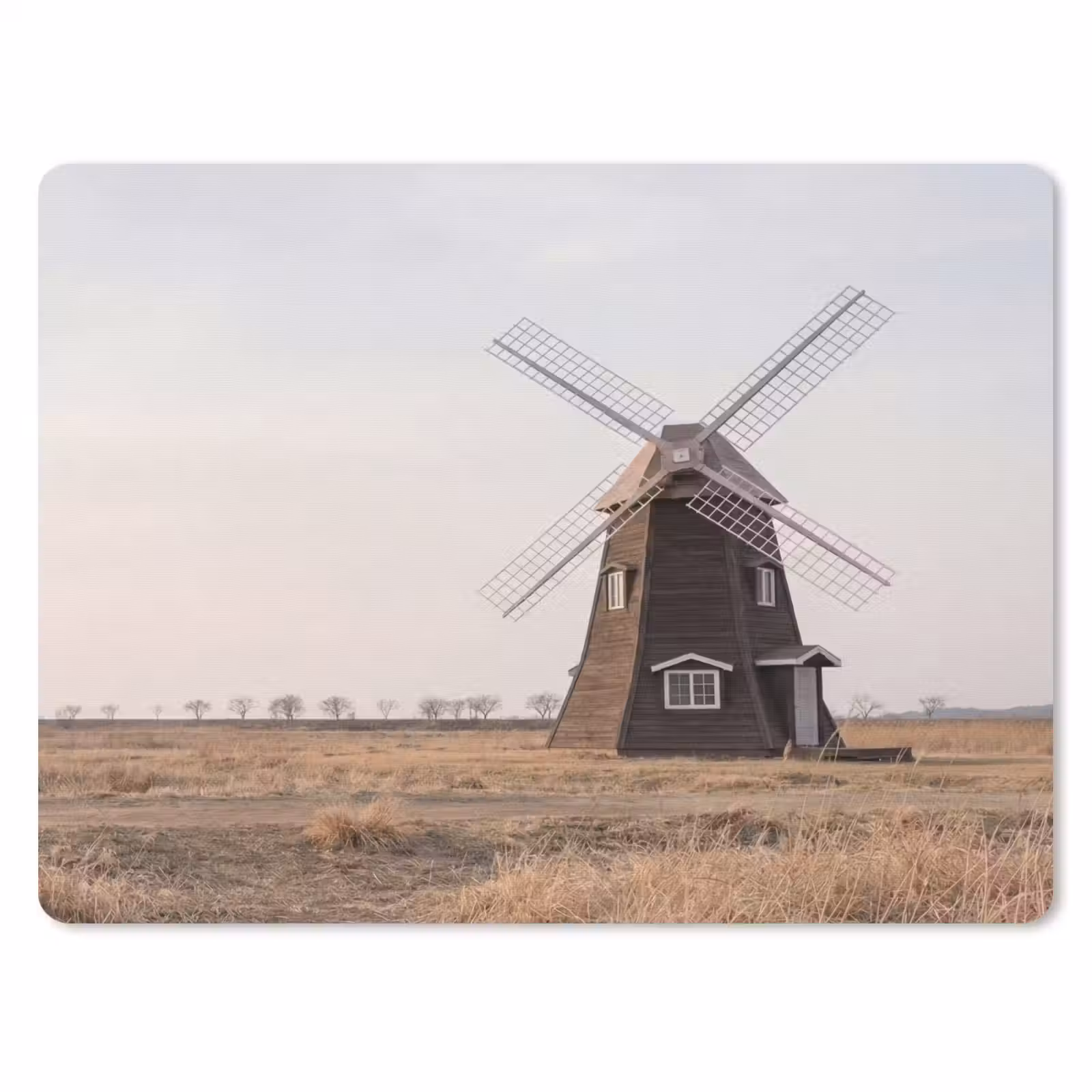 Muismat - Windmolens - Landschap - Veld — 1