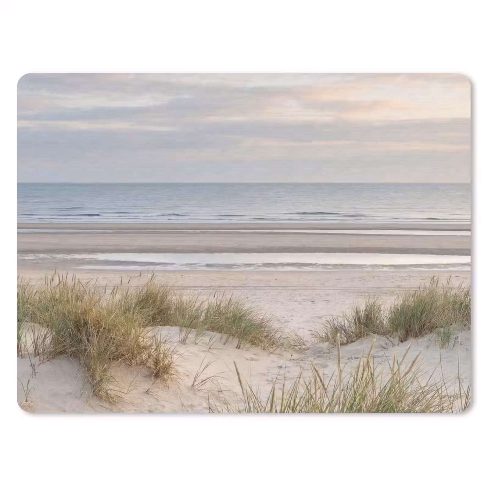 Muismat - Zandstrand - Bewolkt - Duinen — 1