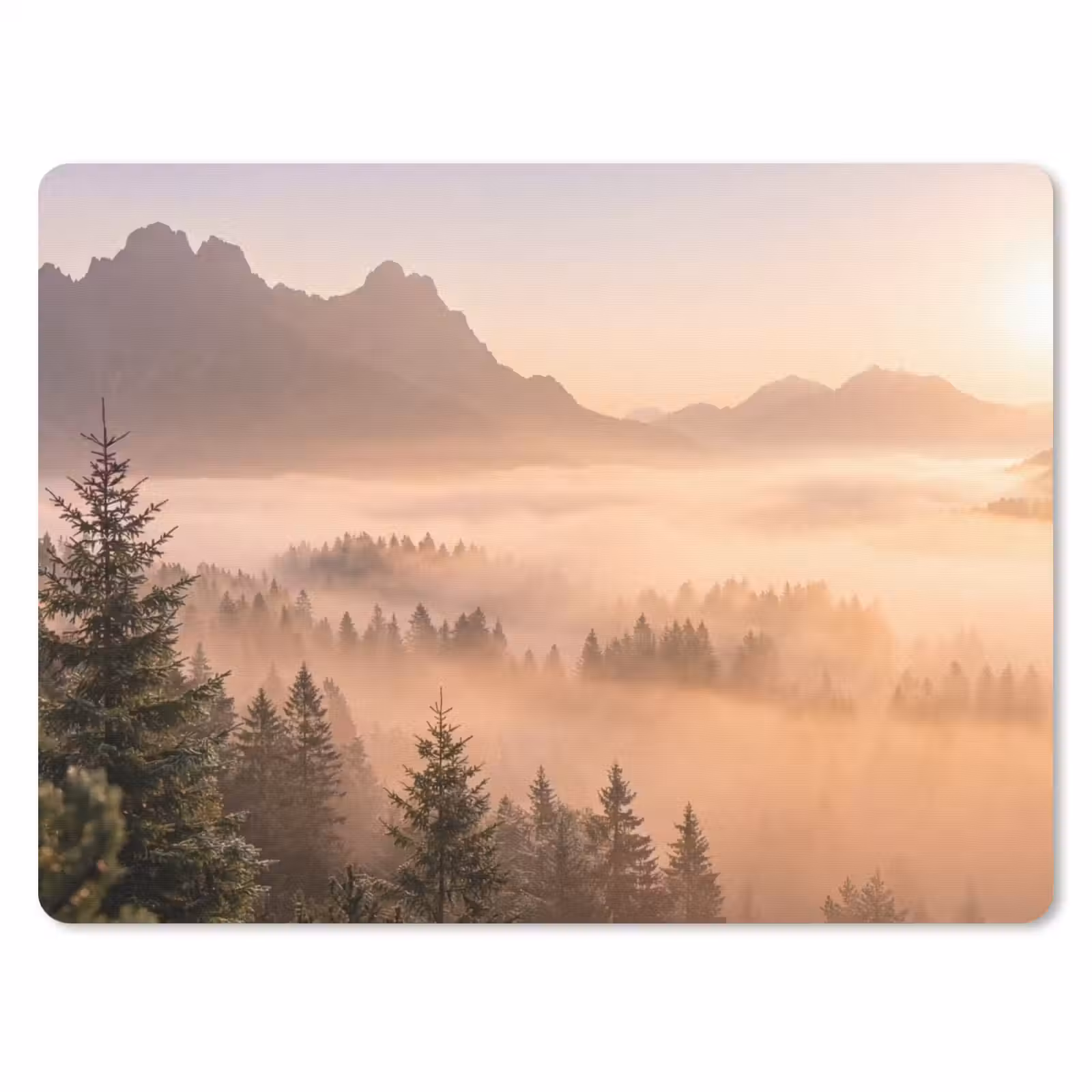 Muismat - Zonlicht - Mist - Bergen - Bomen — 1