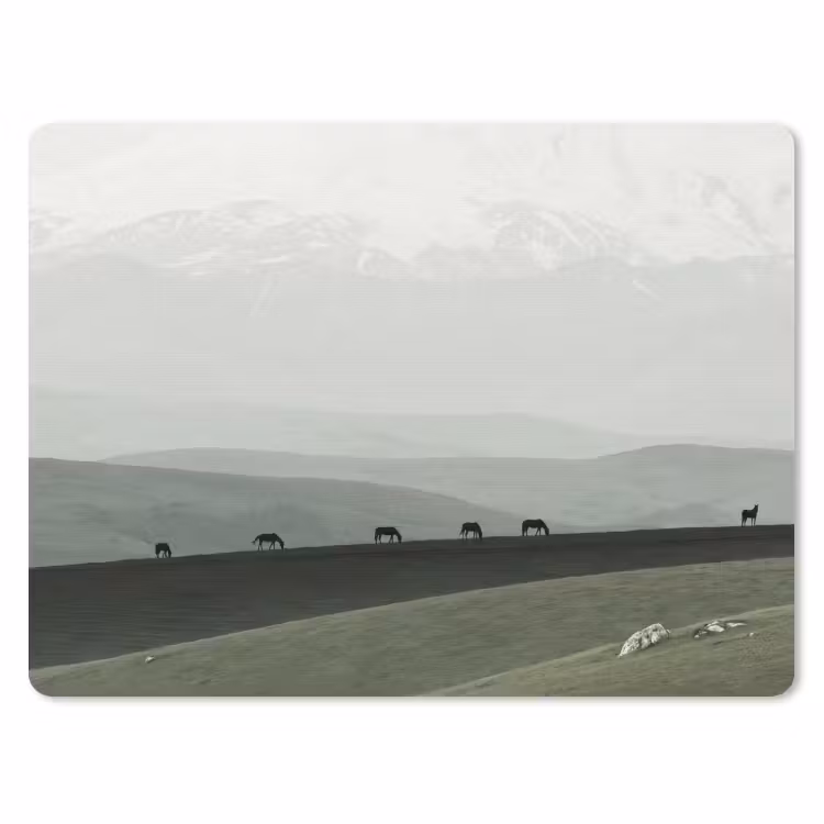 Muismat - Grijs - Berg - Paarden — 1