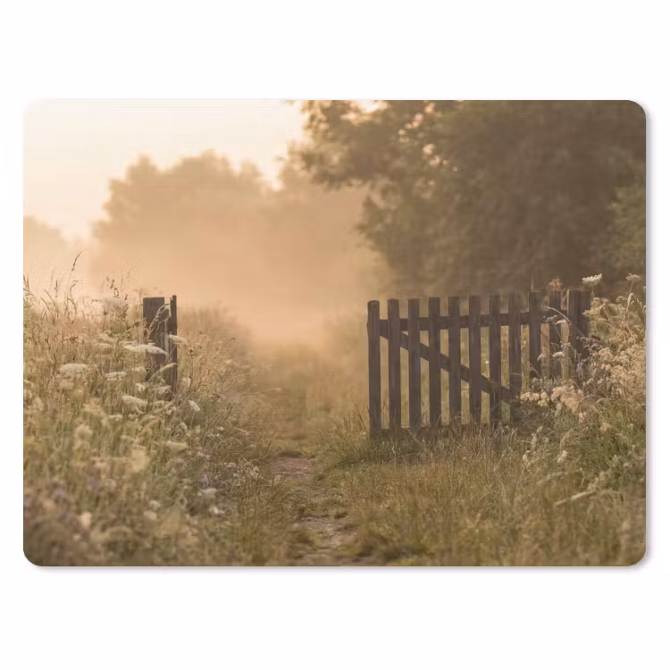 Muismat - Hek - Natuur - Mist - Veld — 1