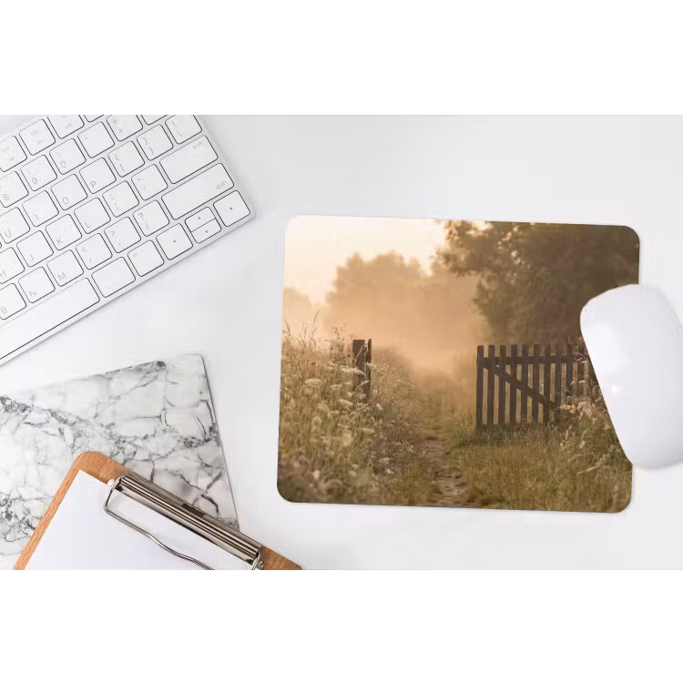 Muismat - Hek - Natuur - Mist - Veld — 2