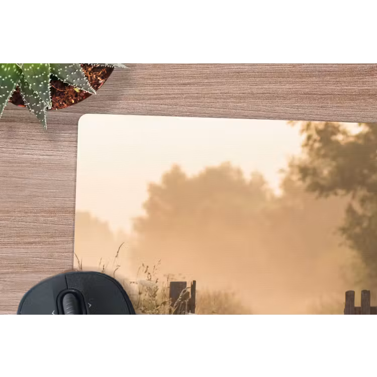 Muismat - Hek - Natuur - Mist - Veld — 4