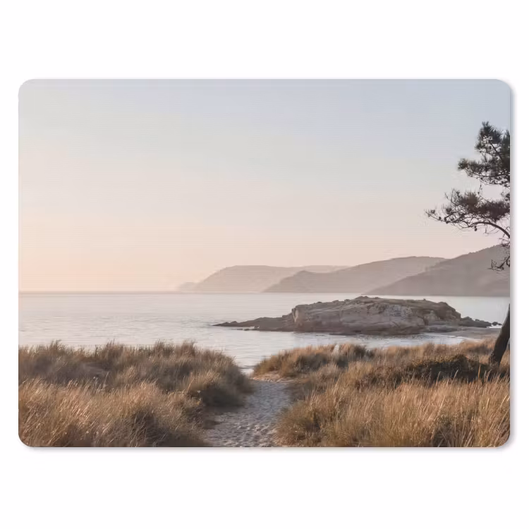 Muismat - Landschap - Kust - Duinen — 1