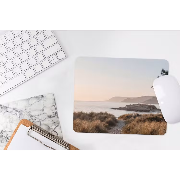 Muismat - Landschap - Kust - Duinen — 2