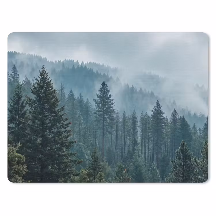 Muismat - Naaldwoud - Bergen - Mist — 1