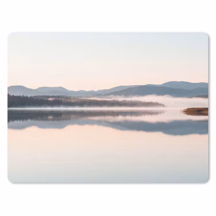 Muismat - Water - Bomen - Mistlaag — 1
