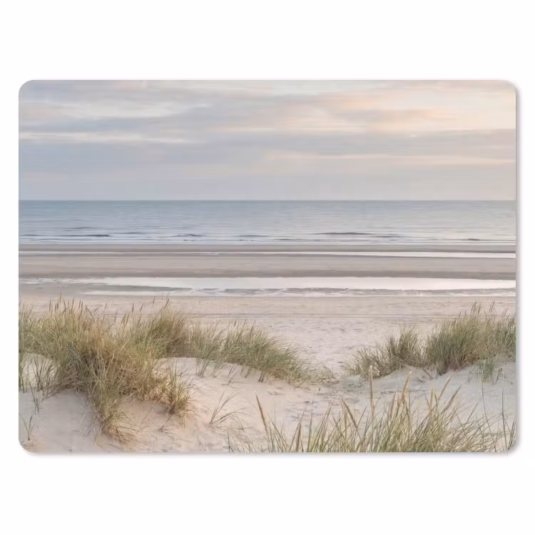 Muismat - Zandstrand - Bewolkt - Duinen — 1