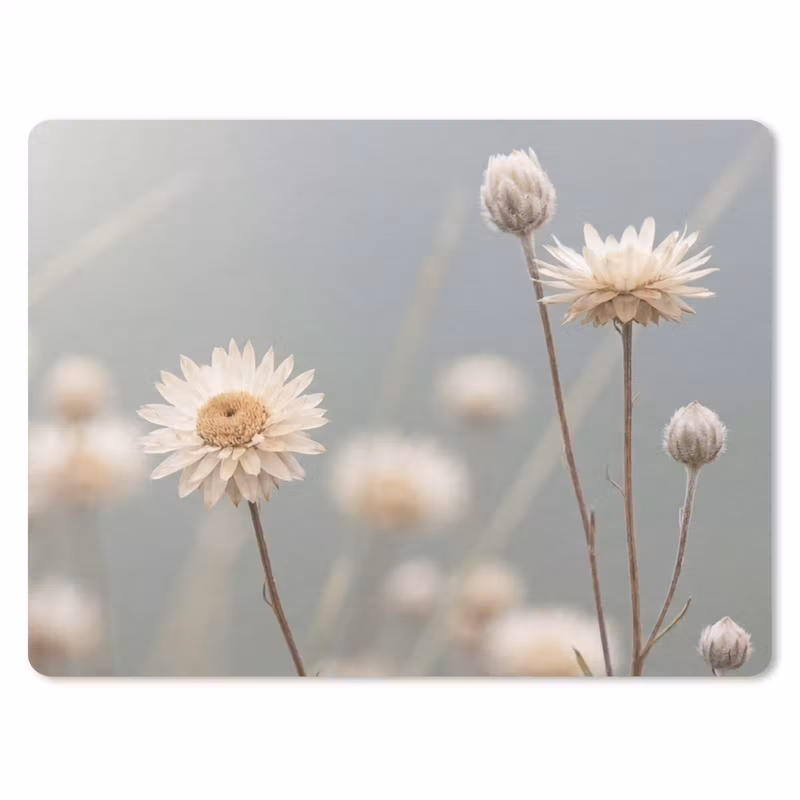Muismat - Strobloemen - Wit - Daglicht — 1