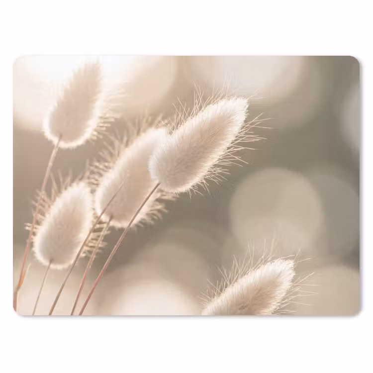 Muismat - Hazestaartgras - Wit - Zonlicht — 1