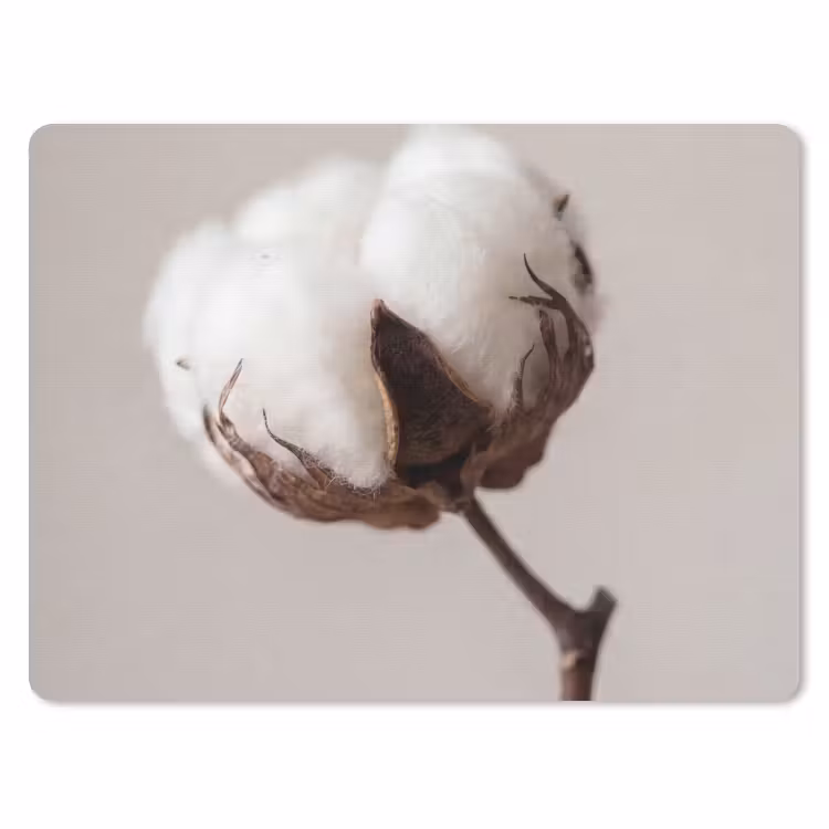 Muismat - Katoenbol - Minimalistisch - Wit — 1
