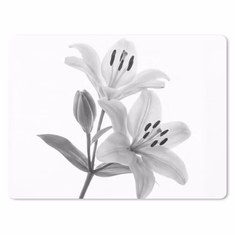 Muismat - Lelies - Elegant - Zwart - Wit — 1
