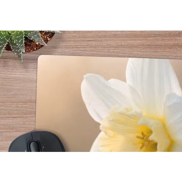 Muismat - Narcis - Bloem - Minimalistisch — 4