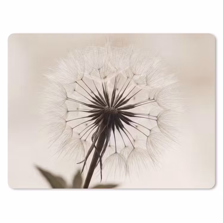 Muismat - Paardenbloem - Minimalistisch - Wit — 1