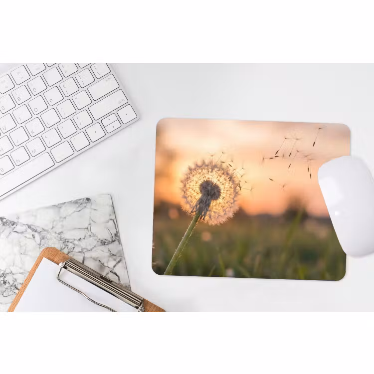 Muismat - Paardenbloem - Zonsondergang - Veld — 2