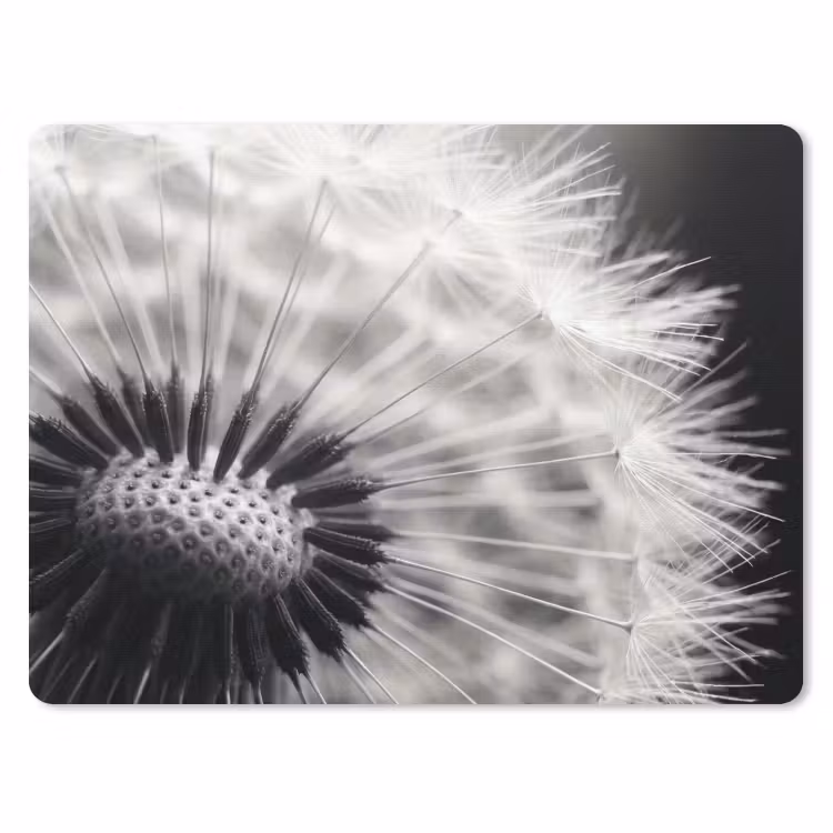Muismat - Paardenbloem - Zwart - Wit — 1
