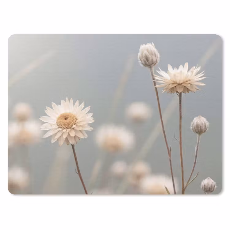 Muismat - Strobloemen - Wit - Daglicht — 1
