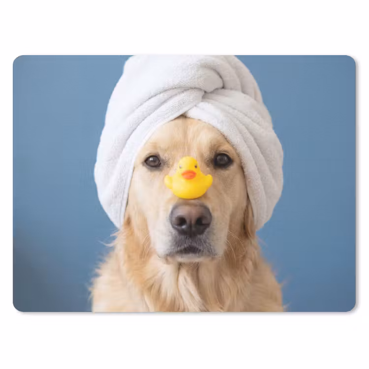 Muismat - Hond - Badeend - Geel — 1