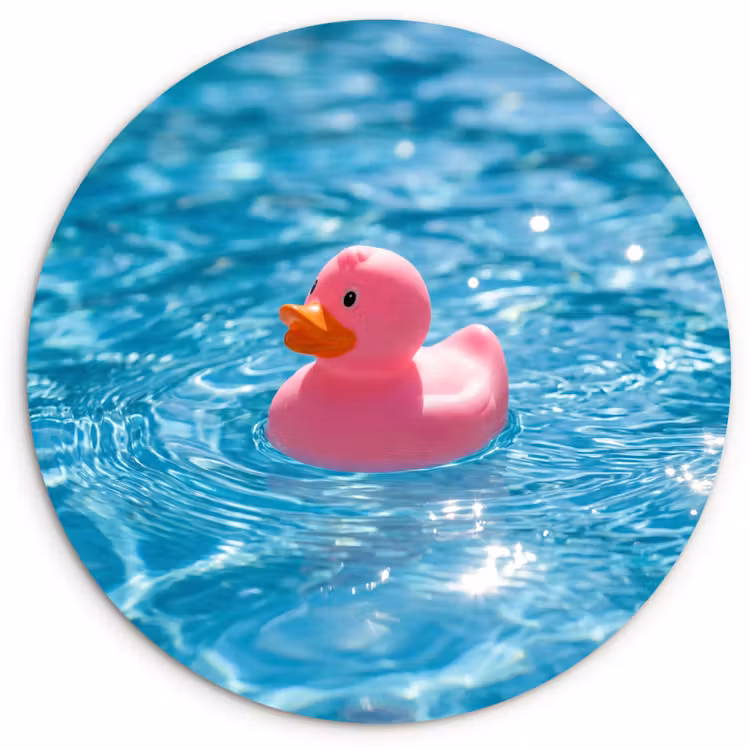 Muurcirkel - Badeend - Dobberend - Roze — 1