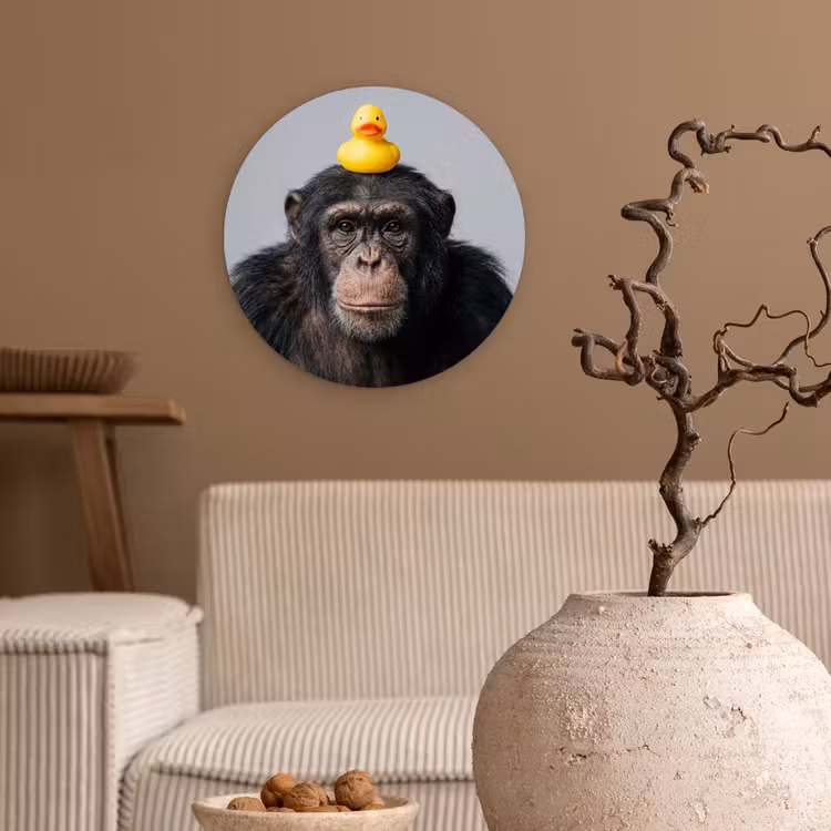 Muurcirkel - Chimpansee - Badeend - Grijs — 2