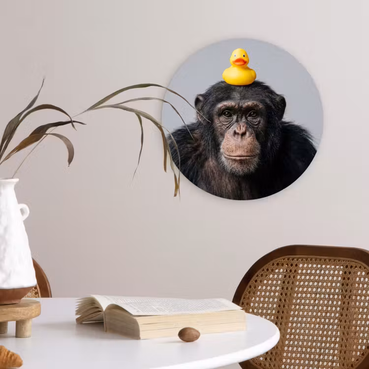 Muurcirkel - Chimpansee - Badeend - Grijs — 4