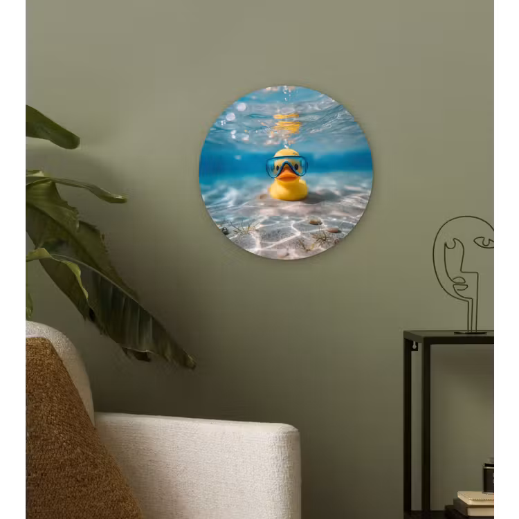 Muurcirkel - Duikbril - Eend - Water — 3