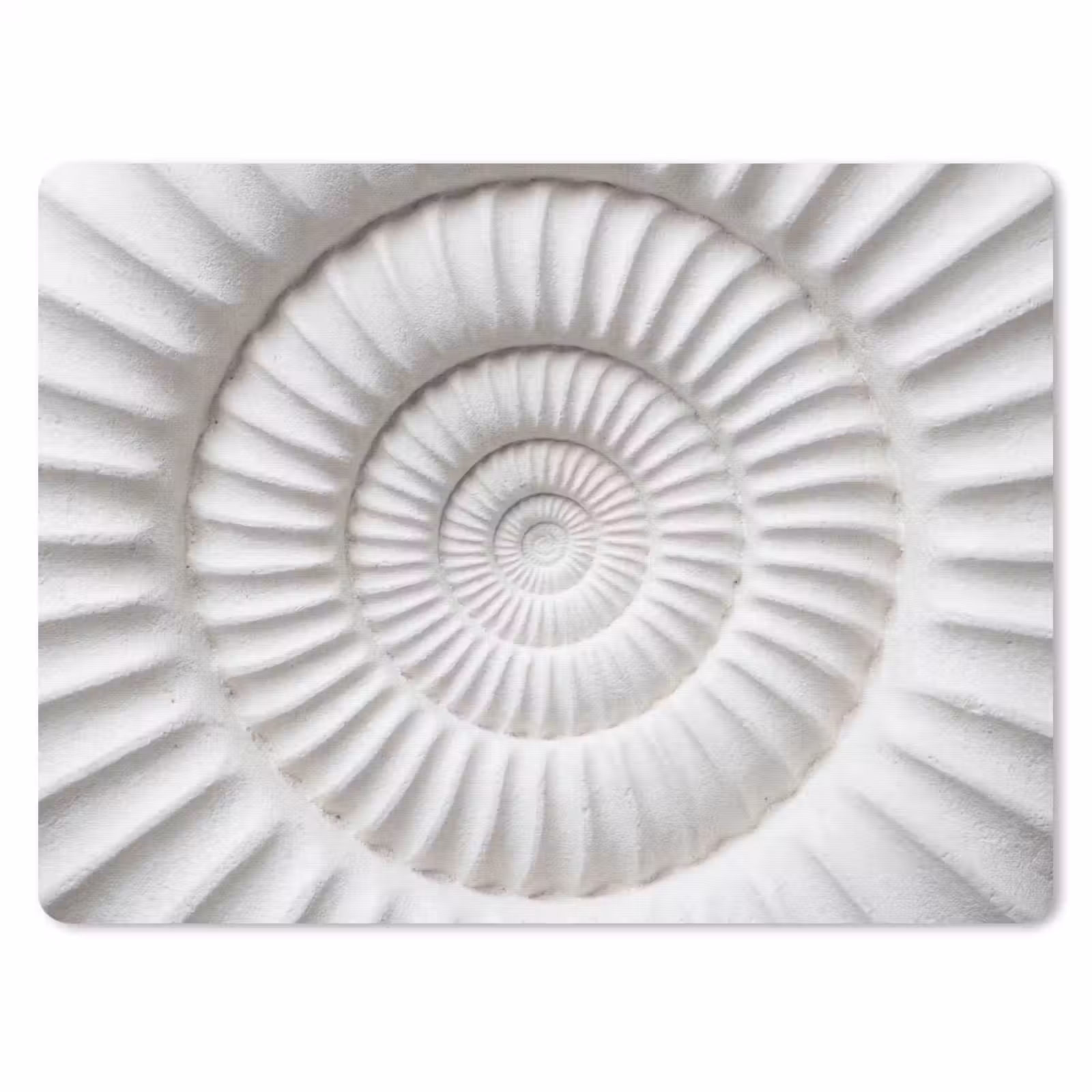 Muismat - Schelp - Spiraal - Wit — 1