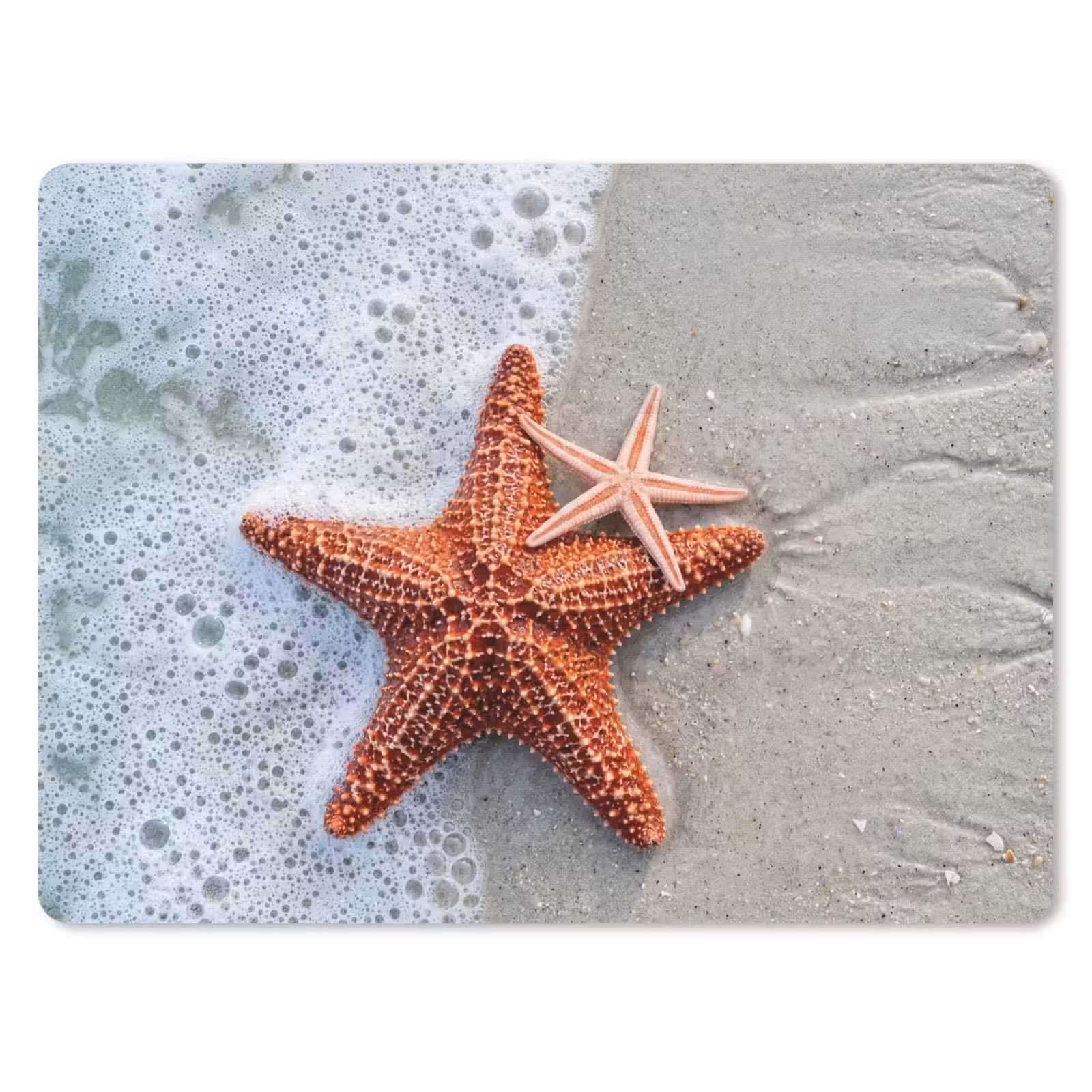 Muismat - Zeester - Strand - Zee — 1